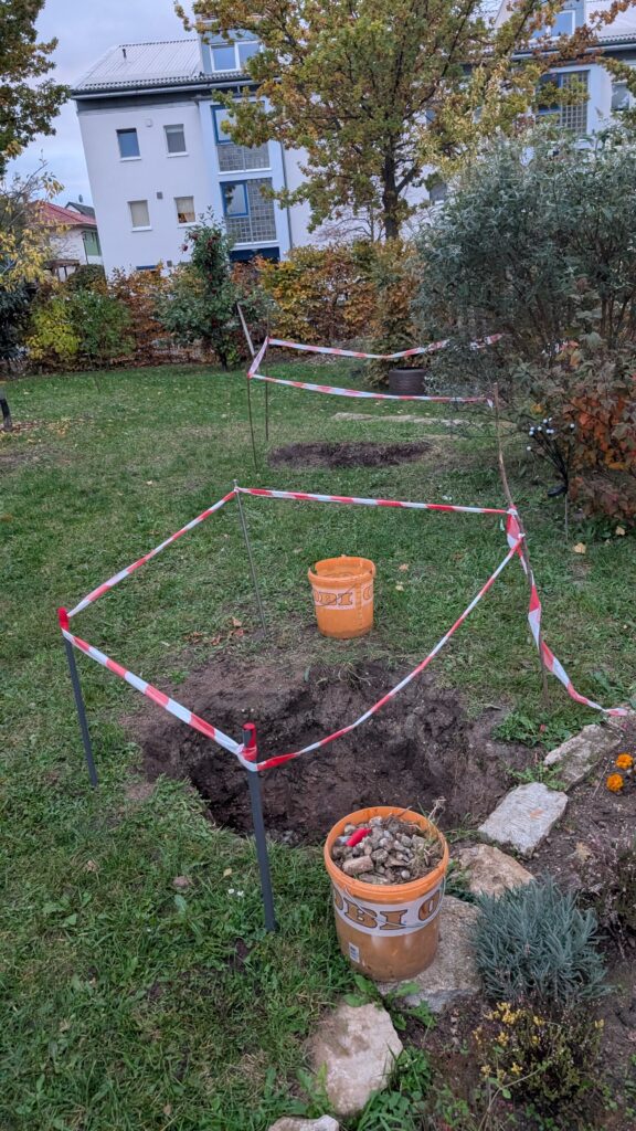 Gartenbild mit zwei abgesperrten Löcher. Die beiden Pflanzlöcher sind fertig.
